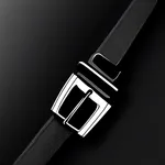 black belt with rounded silver buckle image